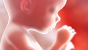 Már az anyaméhben is ásítoznak a babák?
