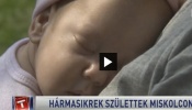 Hármasikrek születtek Miskolcon! Hármasikrek születtek Miskolcon!