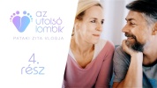 Pataki Zita - az utolsó lombik Pataki Zita - az utolsó lombik